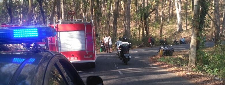 c8529225-f848-4b30-aa3b-f83a10433c32