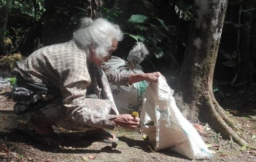 mbah mernik
