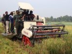 kodim bantul tanam padi